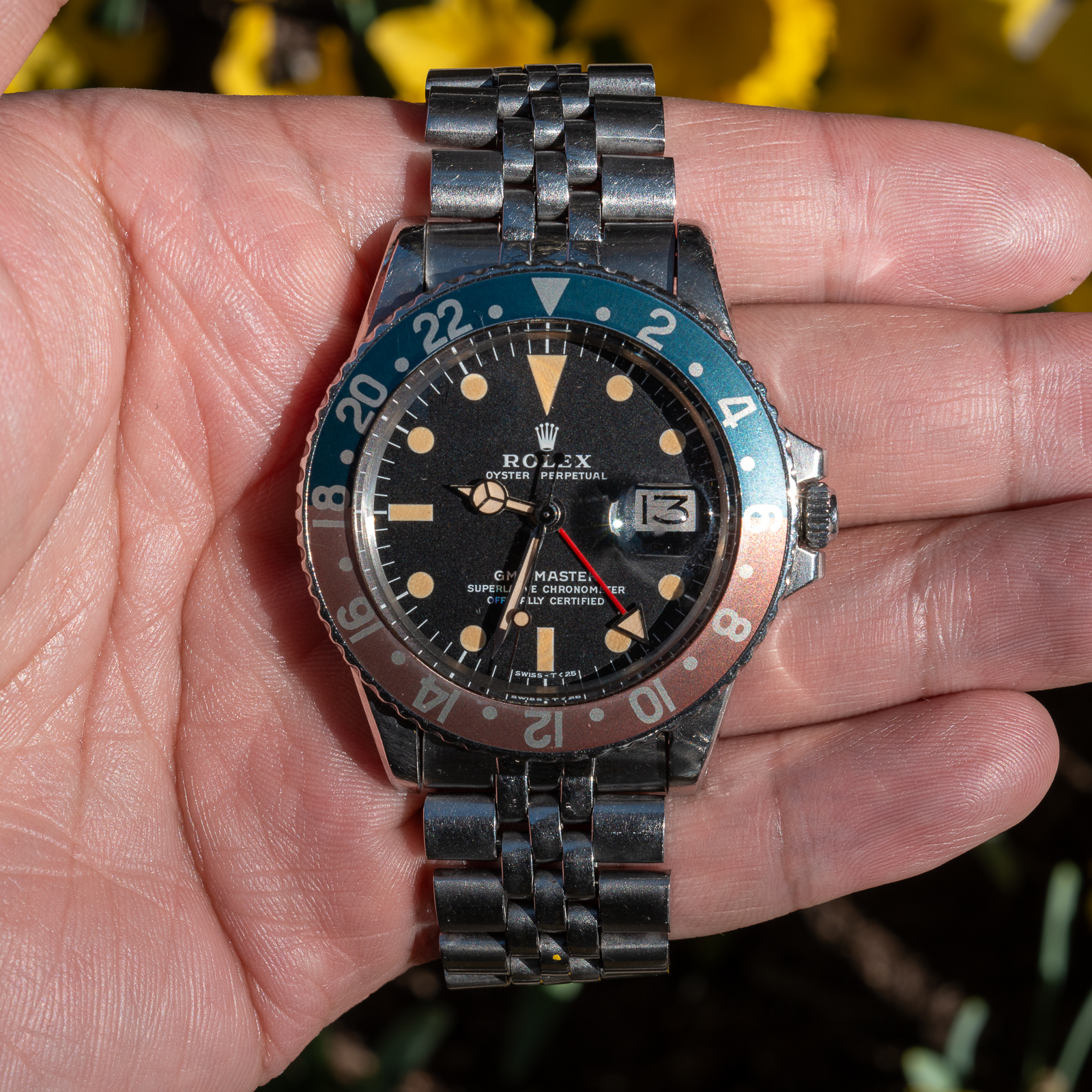 Rolex GMT-Master | Crowned Koi | Crowned Koi